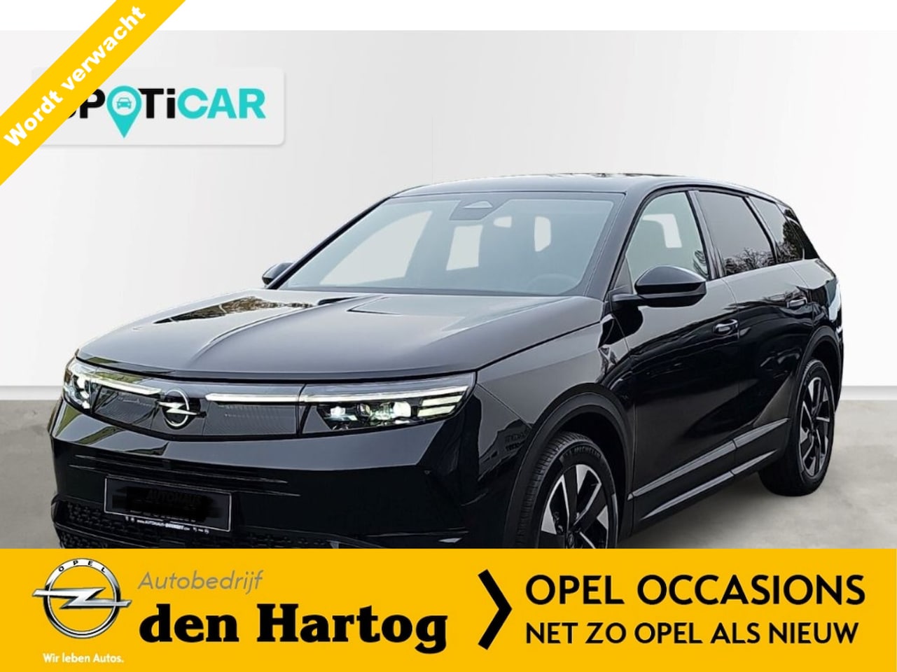 Opel Grandland - 1.2 Turbo Hybrid GS MHEV Panorama dak/Electr achter klep/Matrix. - AutoWereld.nl
