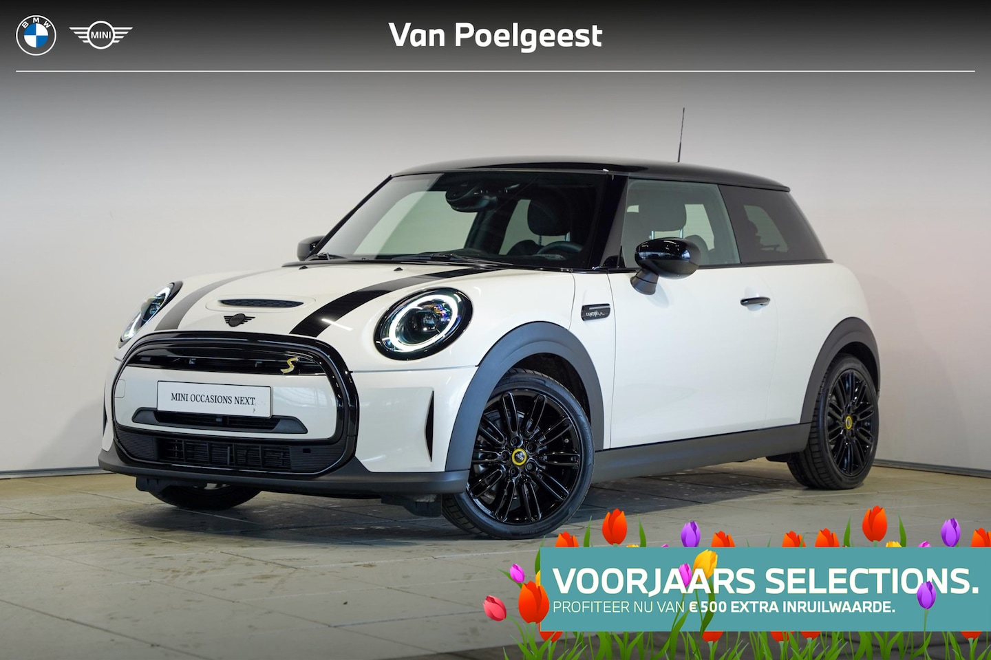 MINI Mini-Electric - Classic | Selections 500 - AutoWereld.nl