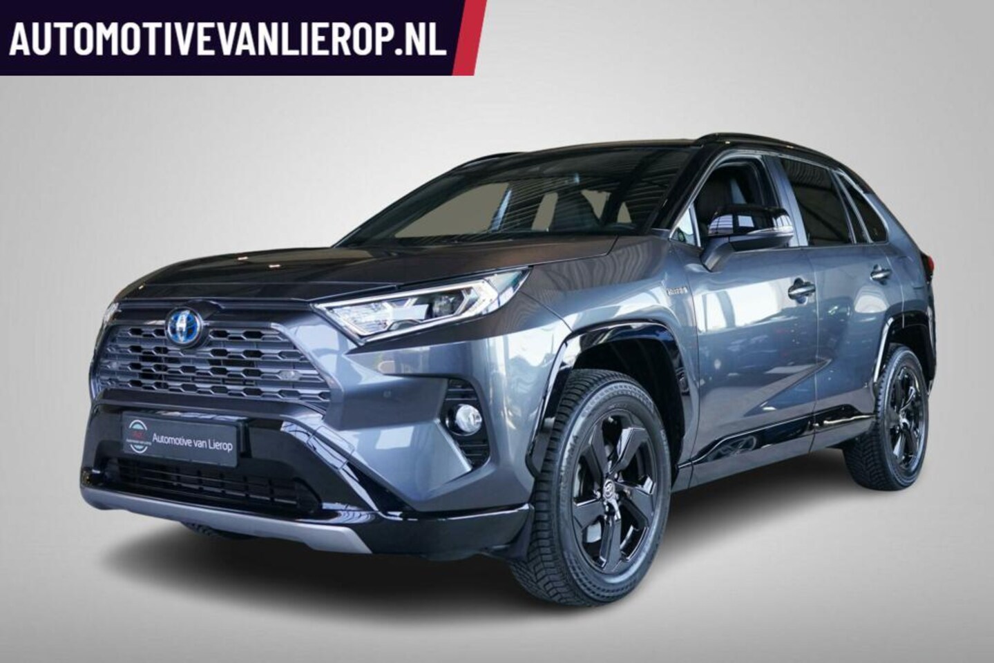Toyota RAV4 - 2.5 Hybrid Bi-Tone | ACC | CAMERA | STOELVERWARMING - AutoWereld.nl