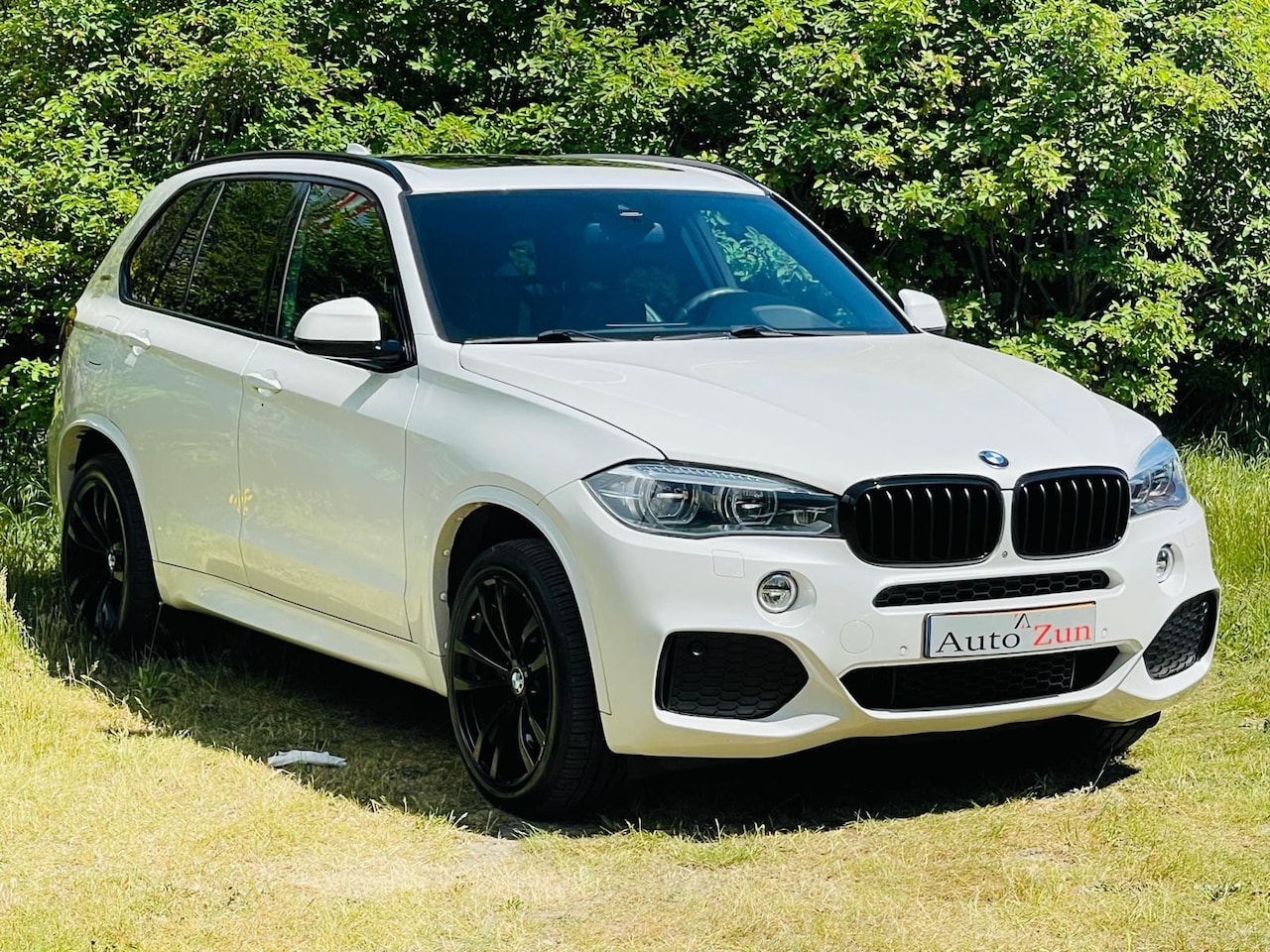 BMW X5 - XDrive40e iPerformance High Executive/Leer/Automaat/Pano/360 camera - AutoWereld.nl