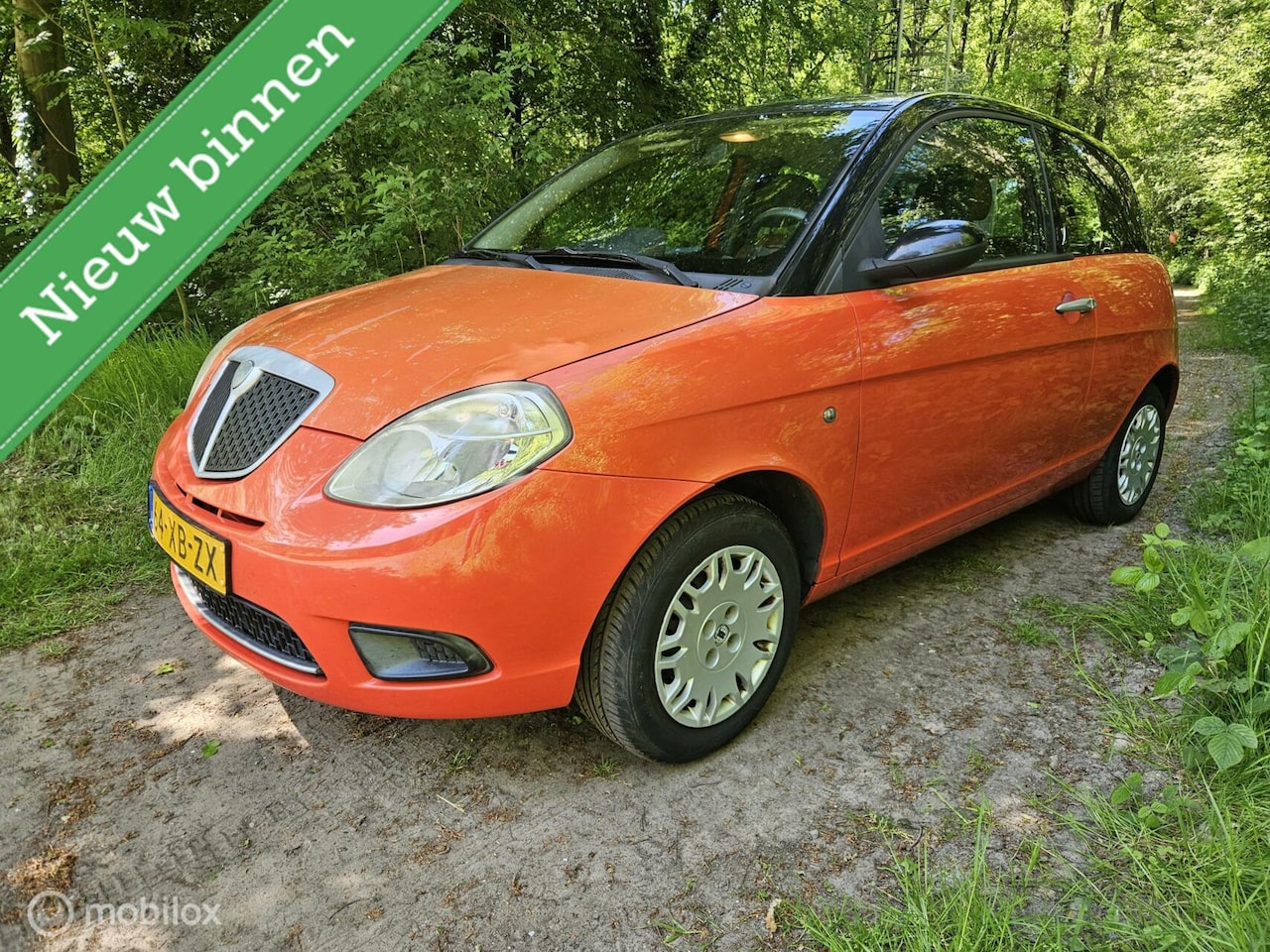 Lancia Y(psilon) - Ypsilon 1.2 Argento nieuwe apk!! - AutoWereld.nl