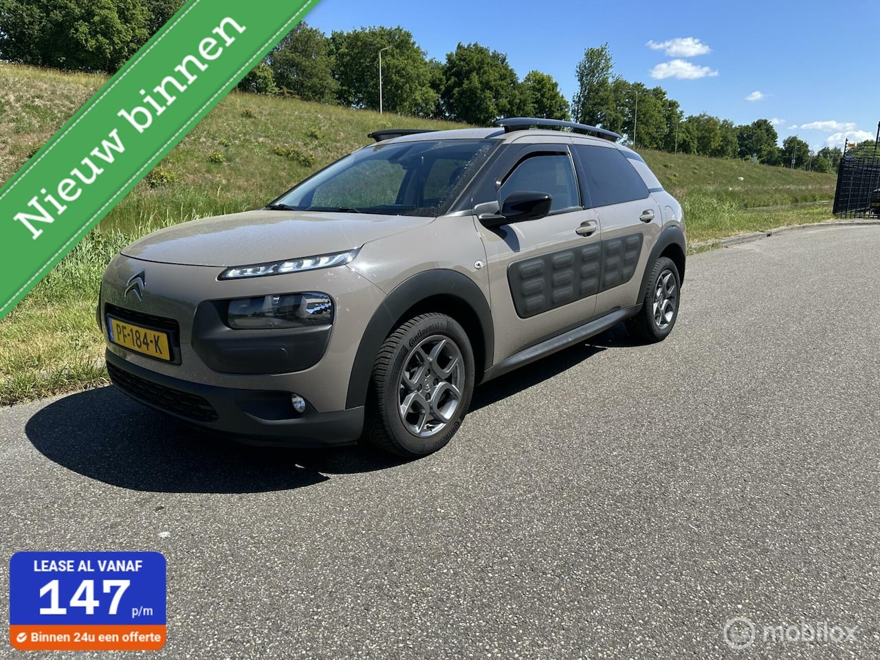 Citroën C4 Cactus - 1.2 PureTech Shine 1.2 PureTech Shine - AutoWereld.nl