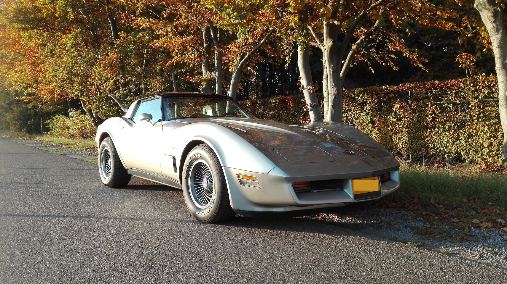 Chevrolet Corvette - 1 YZ 87 165 kW. Collector Edition - AutoWereld.nl