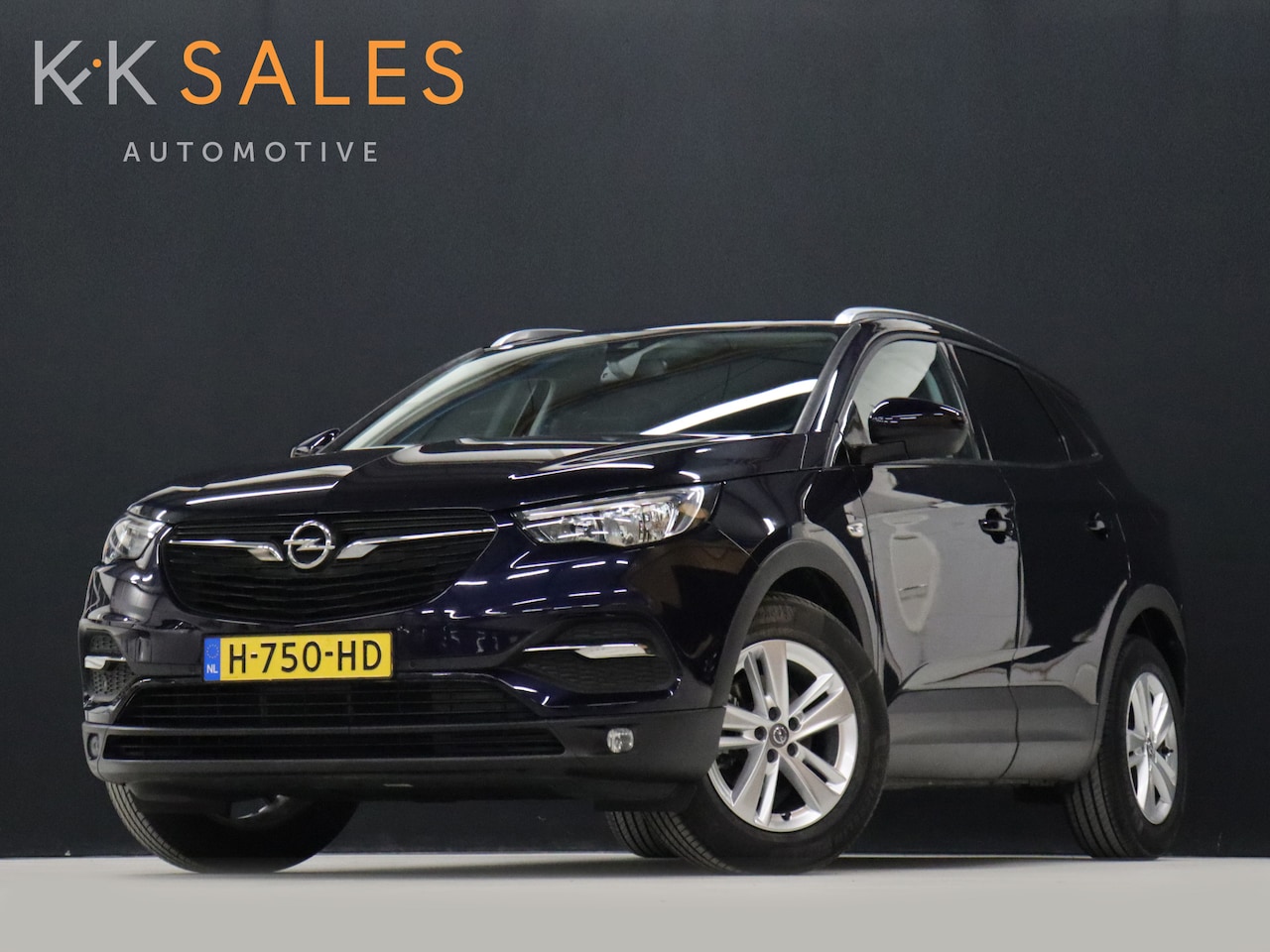 Opel Grandland X - 1.2 Turbo Business Executive [APPLE CARPLAY, ANDROID AUTO, PARKEERSENSOR V+A, STUUR VERWAR - AutoWereld.nl