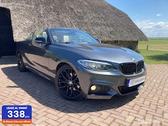BMW 2-serie Cabrio - 220i M Sport Automaat HET DAK MAG ERAF