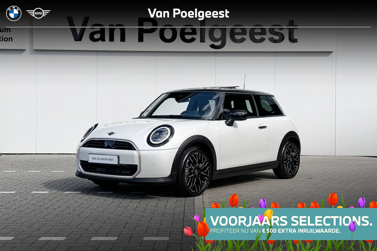 MINI Cooper - 3-deurs C | Favoured Pakket M | Selections - AutoWereld.nl