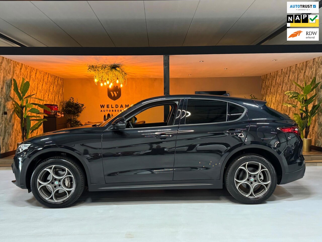 Alfa Romeo Stelvio - 2.0 T AWD Super Q4 Garantie Camera PDC Leder Elek Achterklep DAB LED Cruise Clima Navi Rij - AutoWereld.nl