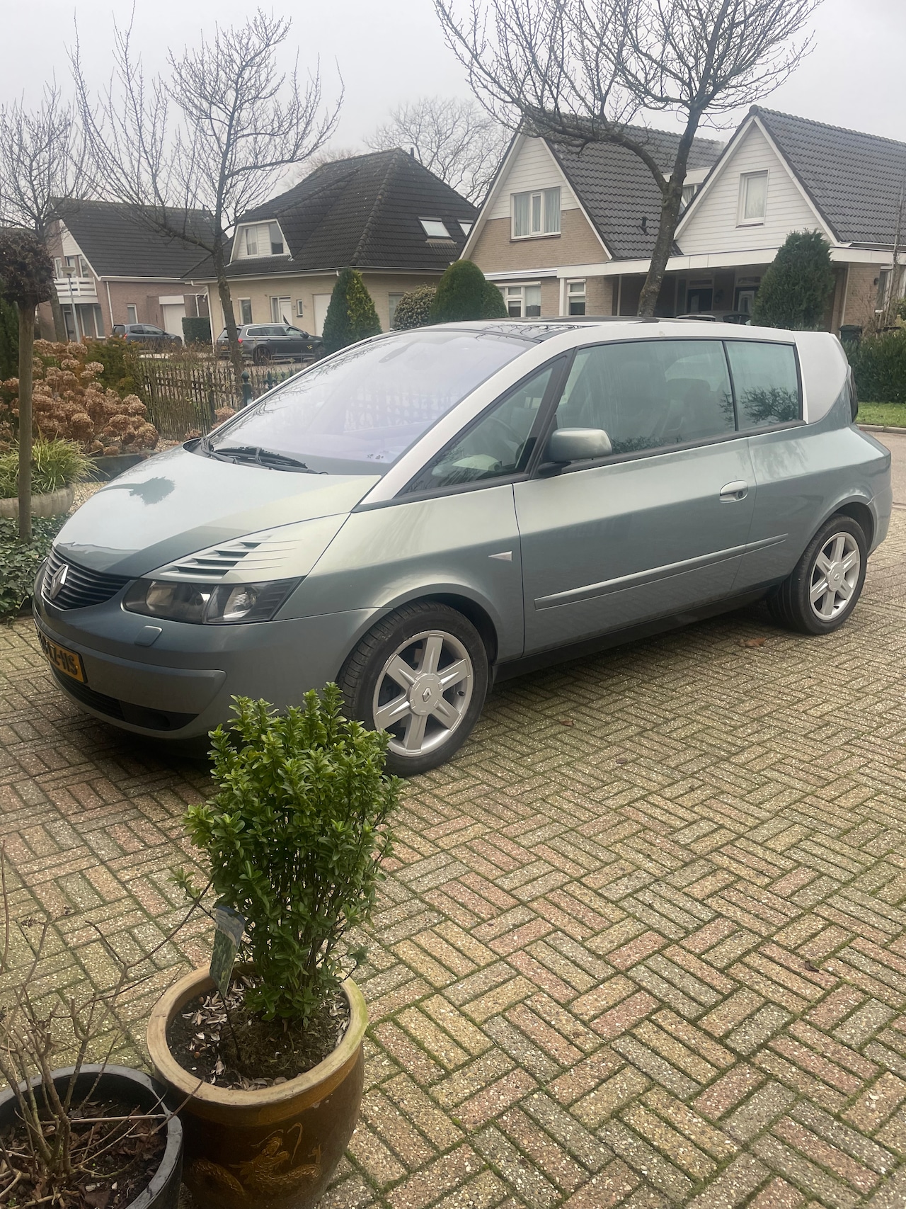 Renault Avantime - 2.0 16V Dynamique - AutoWereld.nl