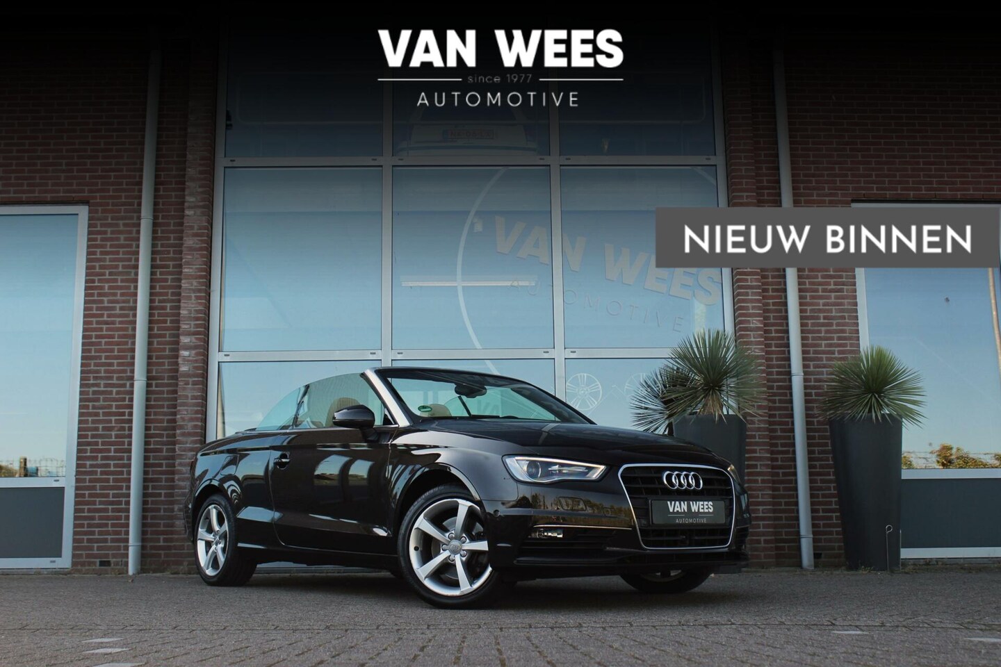 Audi A3 Cabriolet - 1.8 TFSI Ambiente Pro Line | 2e eigenaar | 180 pk | Bang-Olufsen | Camera | 17 inch | Park - AutoWereld.nl