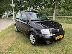 Fiat Panda - 1.2 Celebration