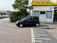 Fiat Panda - 1.2 Edizione Cool
