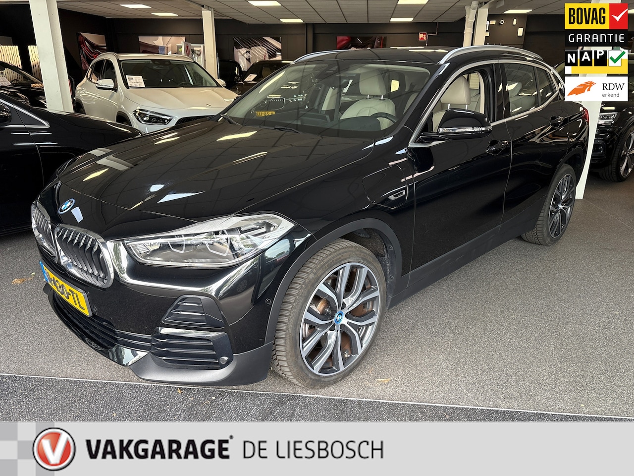 BMW X2 - XDrive25e Business Edition Plus / head-up / Panorama-dak / Leder / stoelverwarming - AutoWereld.nl