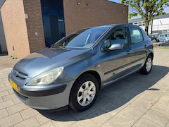 Peugeot 307 - 1.6-16V XS