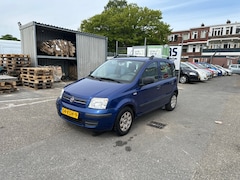 Fiat Panda - 1.2 Edizione Cool