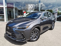 Lexus NX - 450h+ AWD Executive Line | Tri-Led | Navi | Head-Up Display |