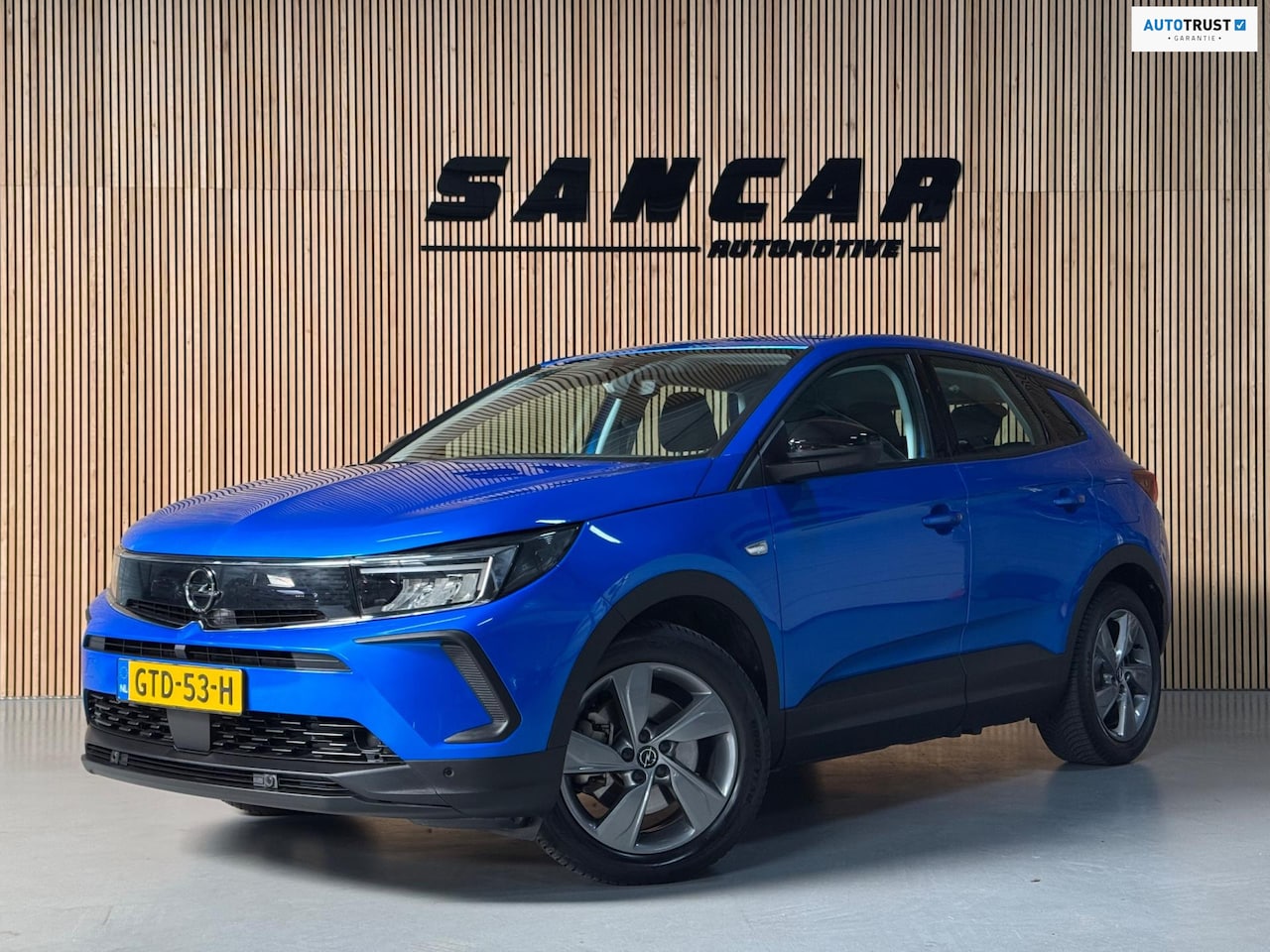 Opel Grandland - 1.6 Turbo Hybrid 4x4 Ultimate automaat - AutoWereld.nl