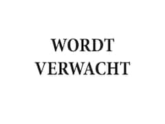 Ford Transit - 350 2.0 TDCI L3H3 Trend 170pk