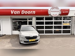Skoda Fabia - 1.0 TSI Greentech 95pk Monte Carlo