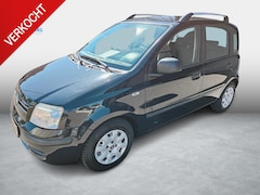 Fiat Panda - 1.2 Edizione Cool
