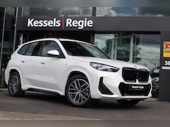 BMW X1 - xDrive25e M Sport Navi LED Camera ACC