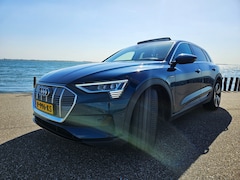Audi e-tron - 55 quattro edition 408PK, Matrix LED, Pano, B&O, 360 view, Warmtebeeld, Elek stoelen, 4-zone, TV, DAB+