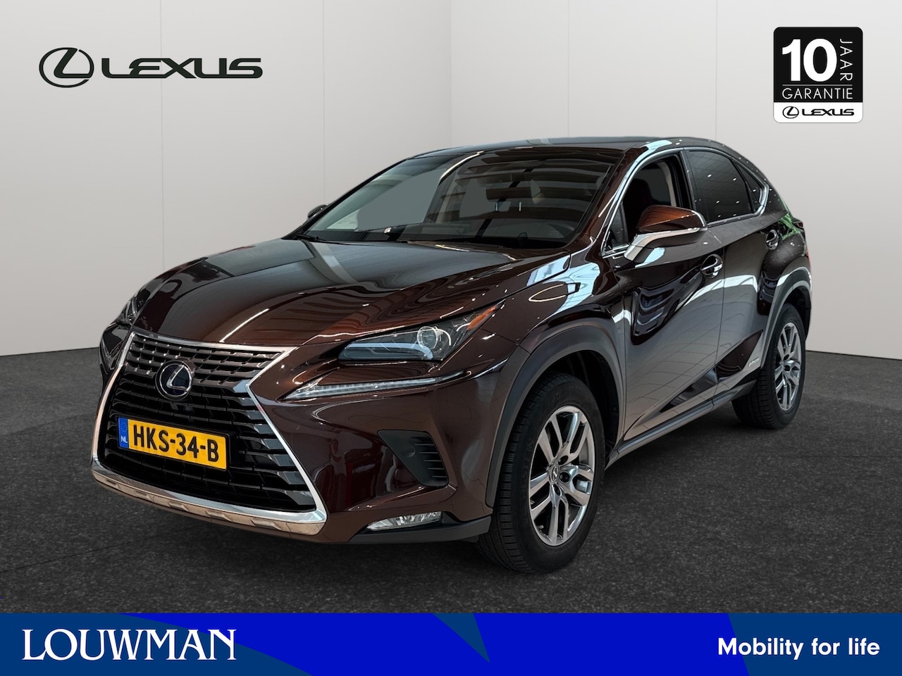 Lexus NX - 300h AWD Luxury Line | Panorama Dak | stoelverwarming | full navi | - AutoWereld.nl