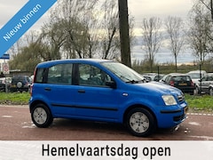 Fiat Panda - 1.2i Dynamic APKZUINIGKOOPJE