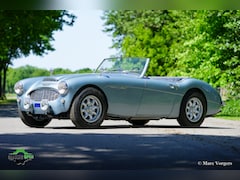 Austin Healey - 100/6