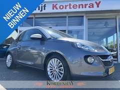 Opel ADAM - 1.0 Turbo Glam Favourite slechts 12, 345 km gereden, vol met de juiste opties