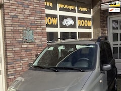 Fiat Panda - 1.2 Edizione Cool