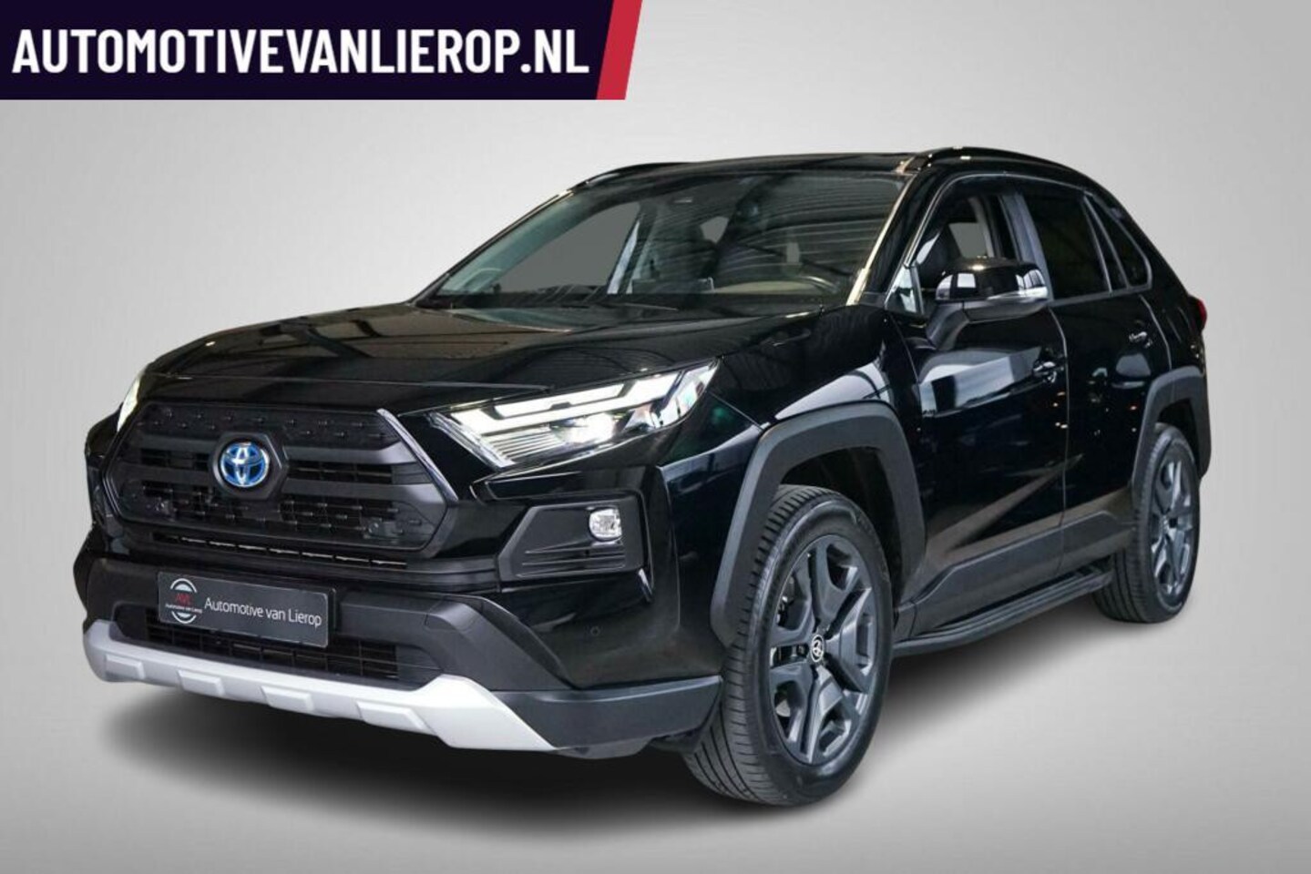 Toyota RAV4 - 2.5 Hybrid AWD ADVENTURE | CAMERA | CRUISE | CLIMA - AutoWereld.nl