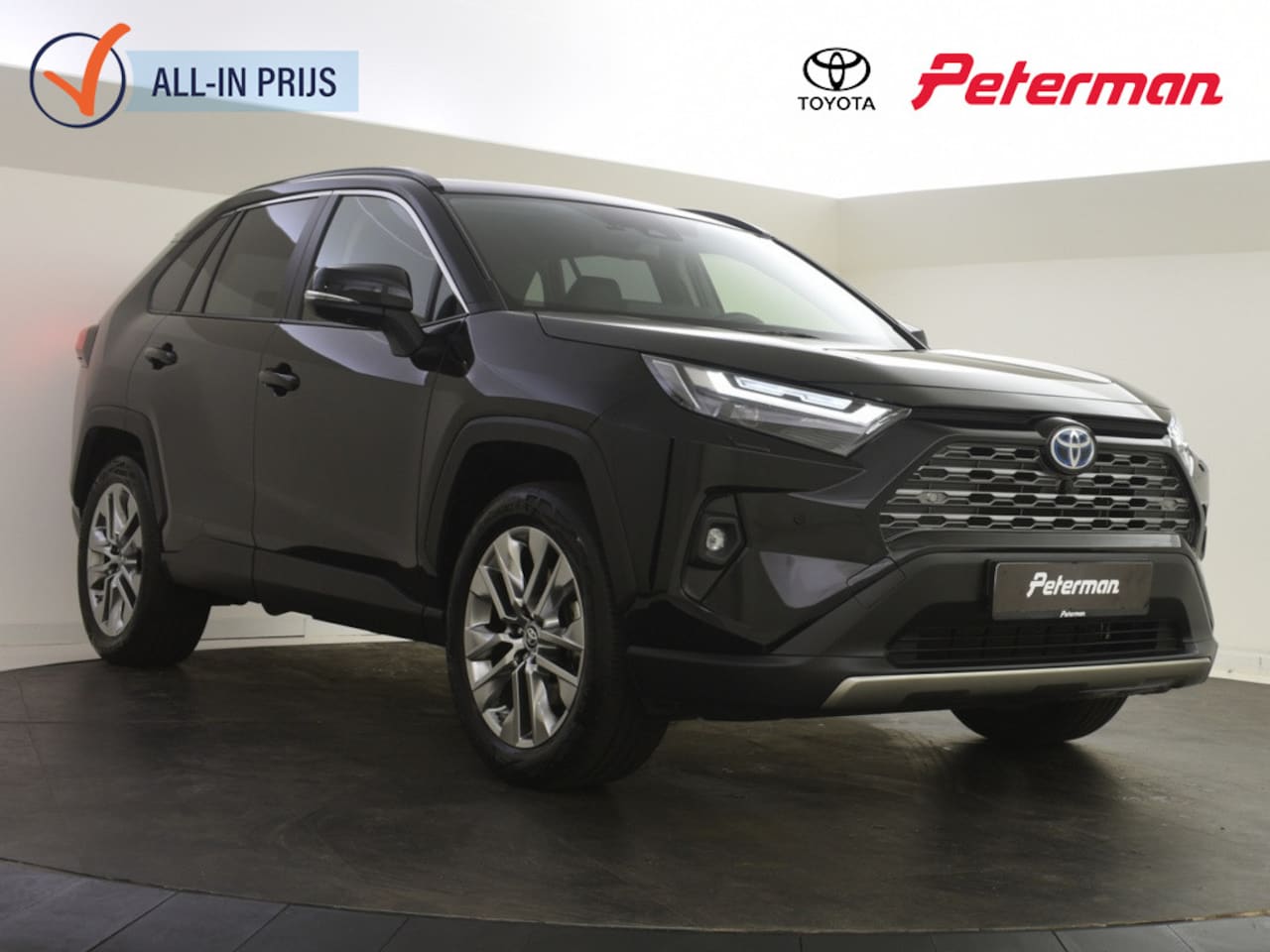 Toyota RAV4 - 2.5 Hybrid AWD Executive | Trekhaak | Stoelkoeling | Memory seat - AutoWereld.nl