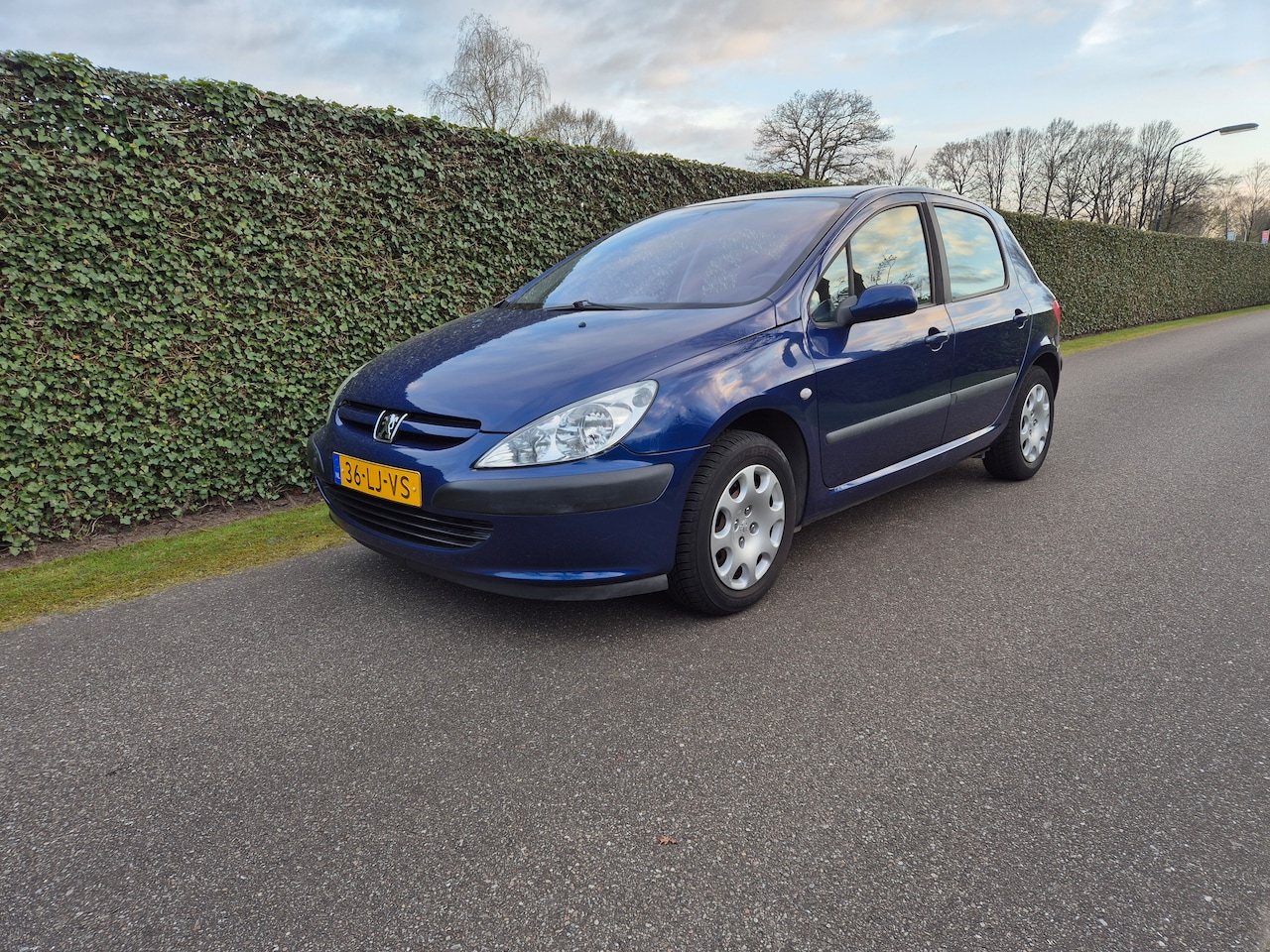 Peugeot 307 - 1.6-16V XT - AutoWereld.nl