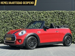 MINI Cabrio - 1.5 Cooper Pepper Serious Business, LEDER, NAVI, CRUISE, KEYLESS, LED, ECC-AIRCO, STOELVER