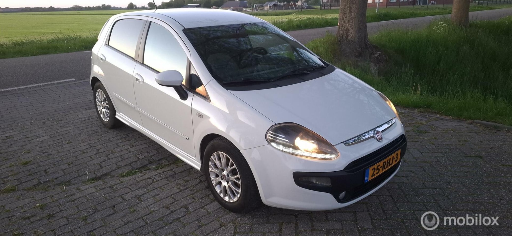 Fiat Punto Evo - 1.3 M-Jet Dynamic 1.3 M-Jet Dynamic - AutoWereld.nl