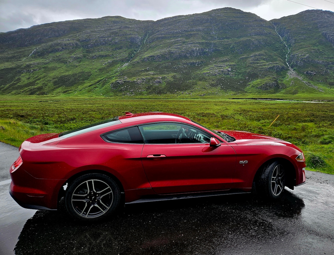 Ford Mustang - GT - AutoWereld.nl