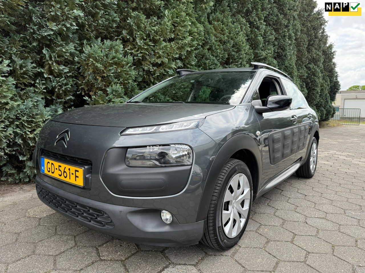 Citroën C4 Cactus - 1.2 PureTech Business 1.2 PureTech Business - AutoWereld.nl