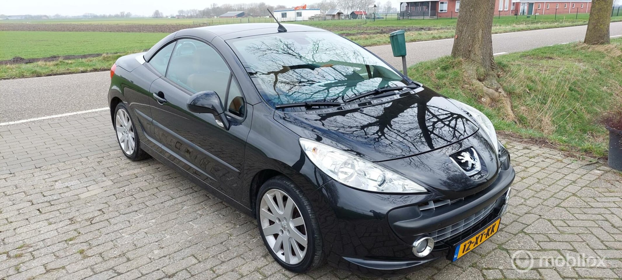 Peugeot 207 CC - 1.6-16V T Féline 1.6-16V T Féline - AutoWereld.nl
