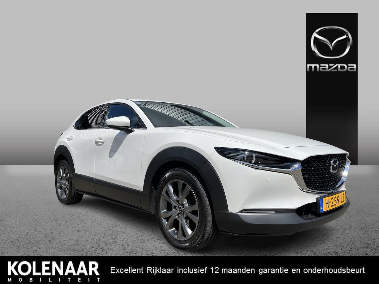 Mazda CX-30 - 2.0 e-SkyActiv-X M Hybrid Luxury /Trekhaak/Dealeronderhouden/Eerste eigenaar/Lederen bekle - AutoWereld.nl