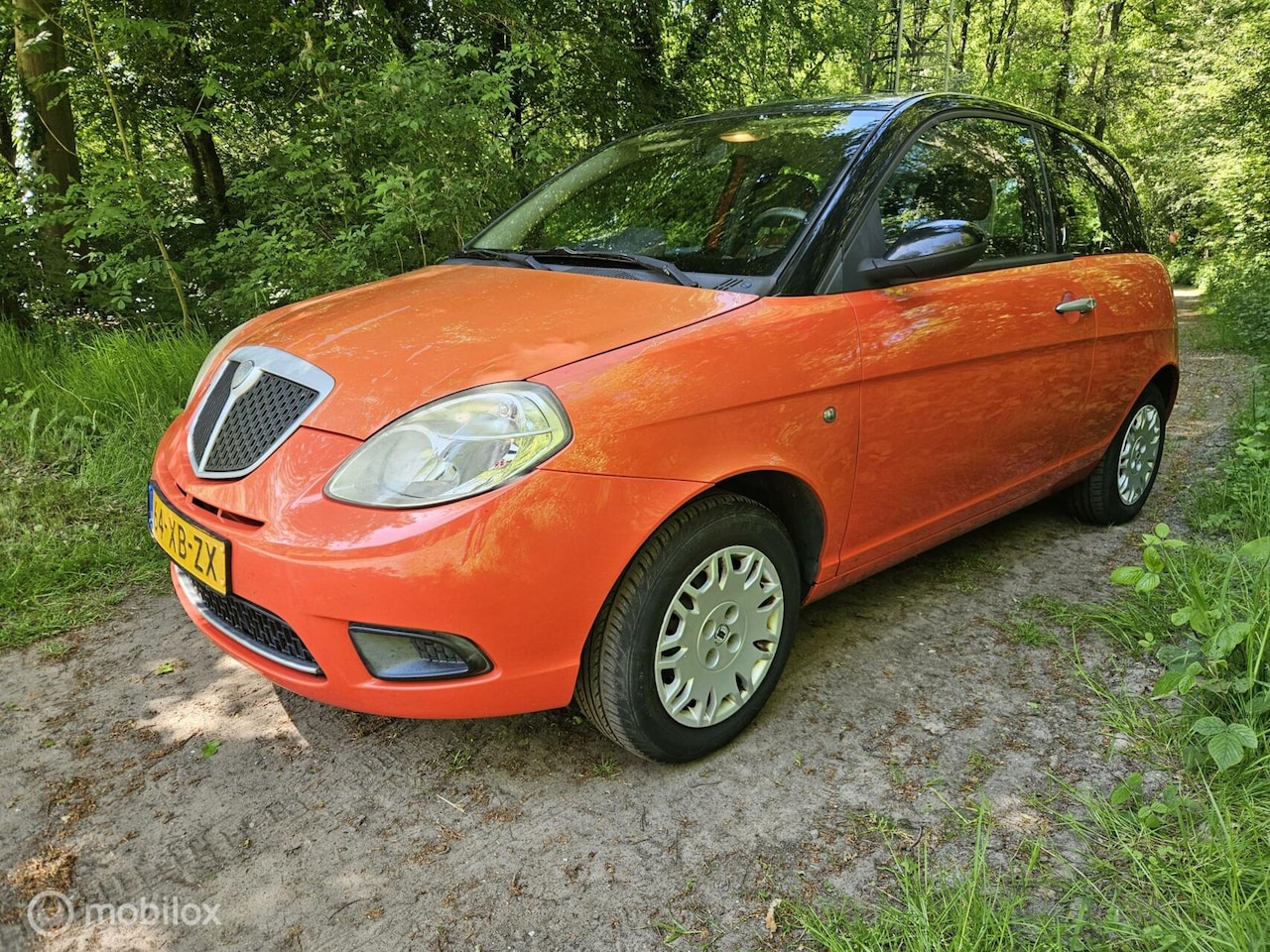 Lancia Y(psilon) - Ypsilon 1.2 Argento nieuwe apk!! - AutoWereld.nl