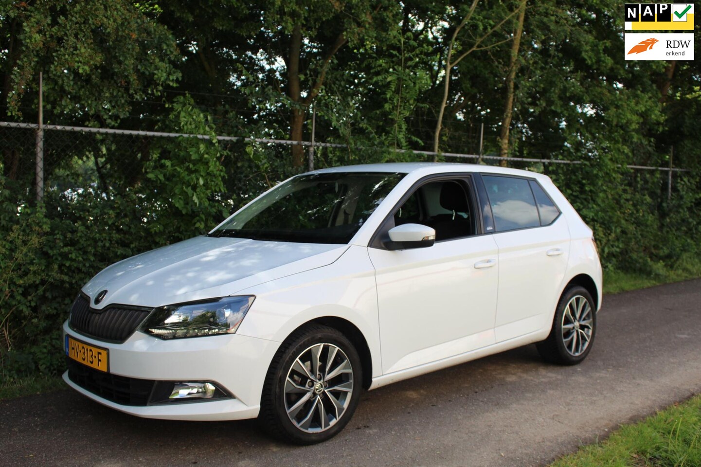 Skoda Fabia - 1.2 TSI Edition *Carplay *Stoelverwarming - AutoWereld.nl