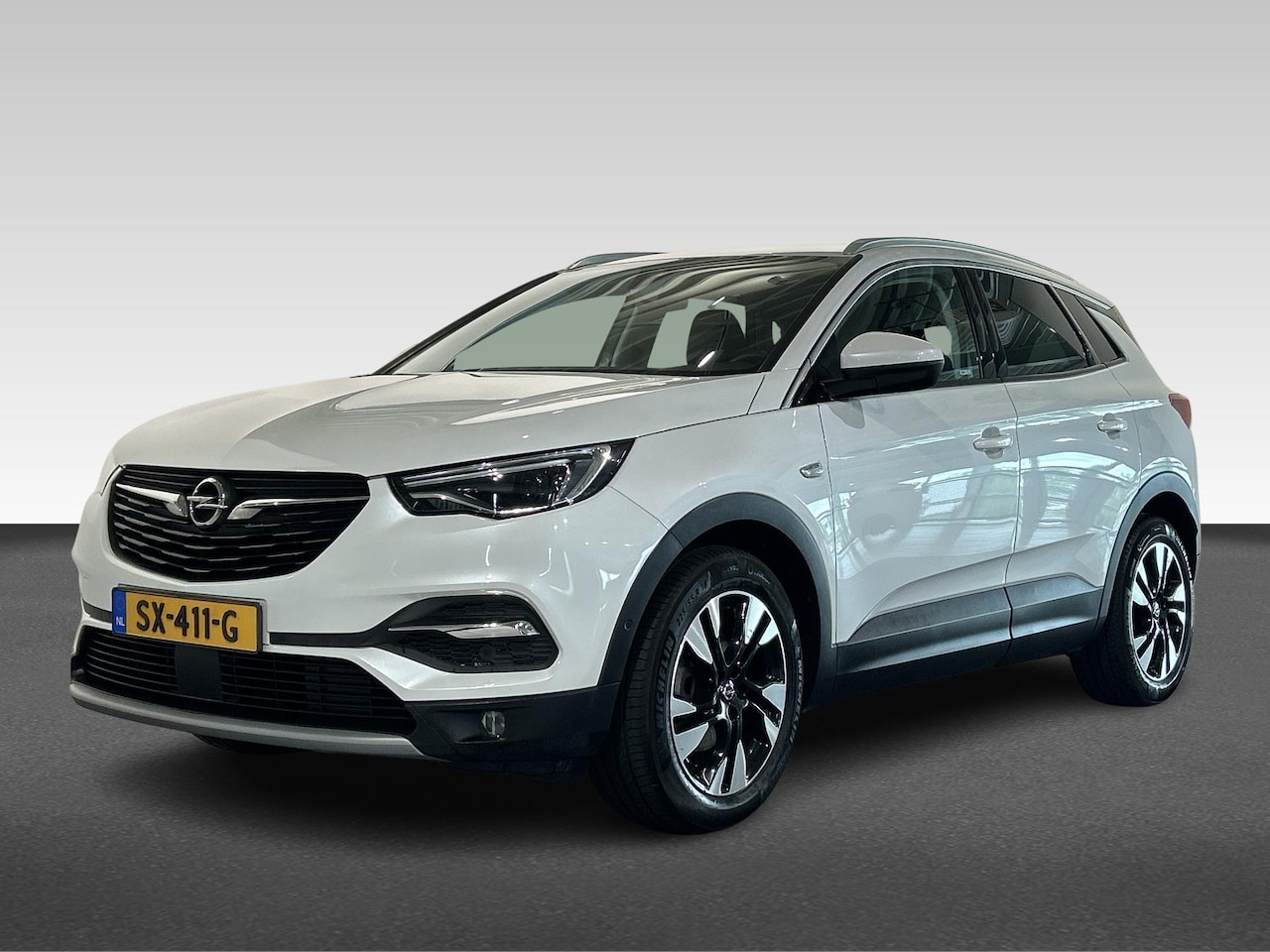Opel Grandland X - 1.2 Turbo 130pk S&amp;S Business Executive - AutoWereld.nl