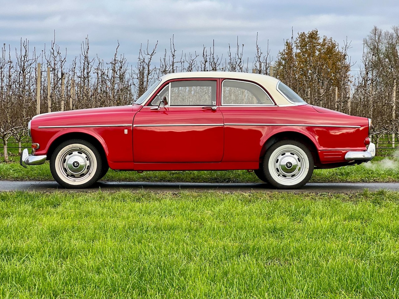 Volvo Amazon - 122S Trekhaak, LPG, whitewall banden - AutoWereld.nl