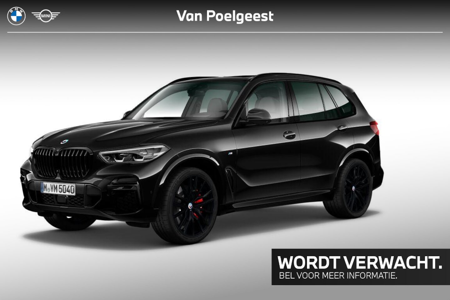 BMW X5 - xDrive30d Grijs kenteken / High Executive / M Sportpakket / Personal CoPilot Pack / Trekha - AutoWereld.nl