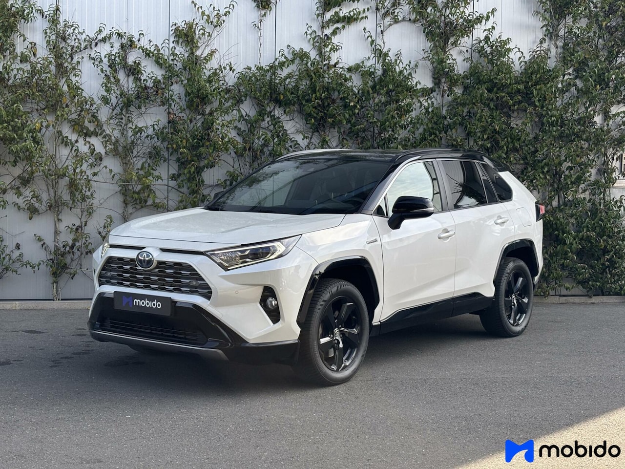 Toyota RAV4 - | 2.5 Hybrid AWD Bi-Tone | Leder | - AutoWereld.nl