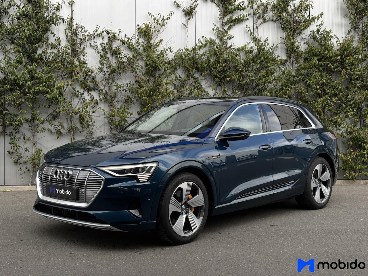 Audi e-tron - 55 Quattro Advanced | 95 kWh | Panoramadak | - AutoWereld.nl