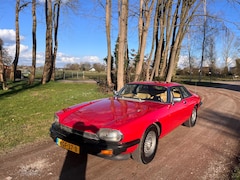 Jaguar XJS - 5.3 V12 Coupé