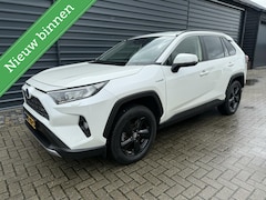 Toyota RAV4 - 2.5 Hybrid Business Plus Navi Led Leder Trekh
