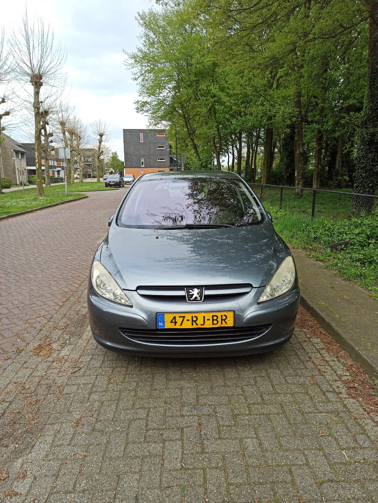 Peugeot 307 - 1.6-16V XS Premium - AutoWereld.nl