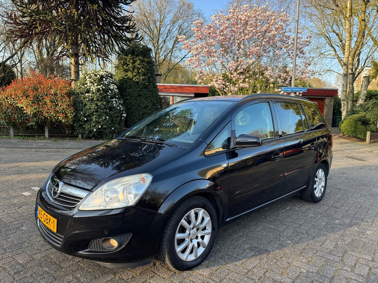 Opel Zafira - 2.2 Temptation 7-zitter - AutoWereld.nl